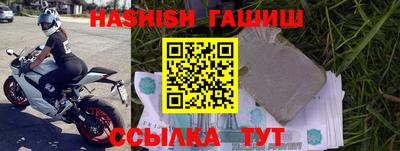 скорость Кингисепп
