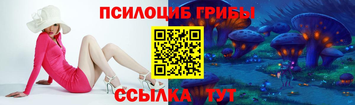 Кольчугино  Галлюциногенные грибы Magic Shrooms  Вход с VPN 